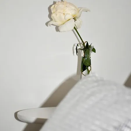 Alegria * Santa Brígida